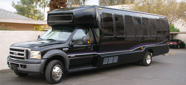 20 Passenger Minibus